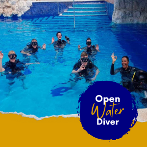 open water diver