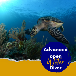 advanced open water cancun